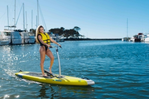 San Diego: verhuur van elliptische paddleboards