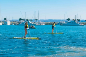 San Diego: verhuur van elliptische paddleboards