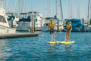 San Diego: verhuur van elliptische paddleboards