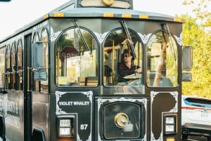 San Diego: Spøgelsestur og gravsten i trolley