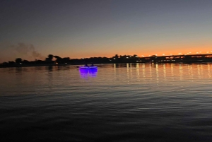 San Diego: Glass Kayak Tour