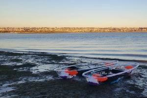 San Diego: Glass Kayak Tour
