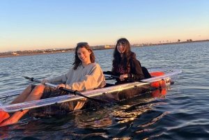 San Diego: Glass Kayak Tour