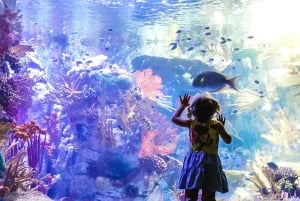 San Diego: Go City Essentials Pass