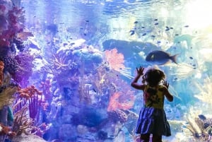 San Diego Explorer Pass: Tickets to 2-7 Attractions