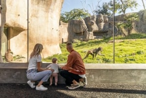 San Diego Explorer Pass: Tickets to 2-7 Attractions