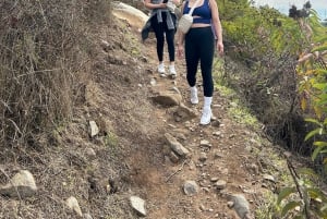 San Diego: Meditação Guiada e Caminhada na Montanha