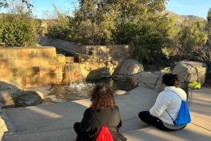 San Diego: Meditação Guiada e Caminhada na Montanha