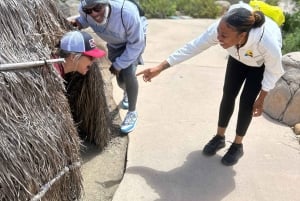 San Diego: Meditação Guiada e Caminhada na Montanha