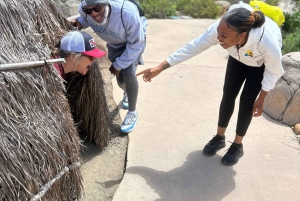 San Diego: Wycieczka z medytacją z przewodnikiem i wędrówką górską