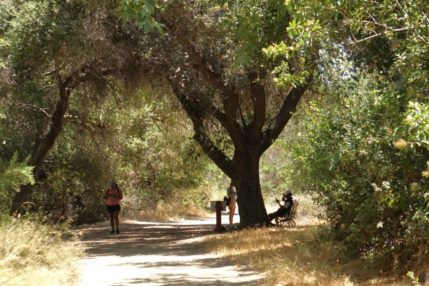 San Diego: Guidad naturhistorisk promenad
