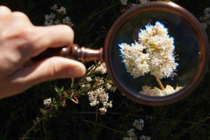 San Diego: Guidad naturhistorisk promenad