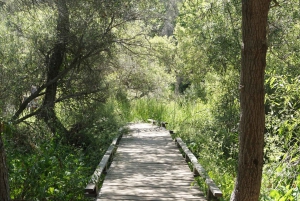 San Diego: Guidad naturhistorisk promenad