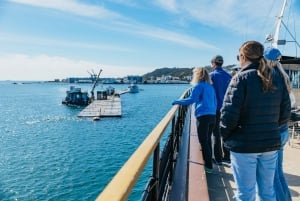 San Diego: Harbor Cruise