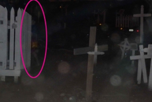 San Diego: Haunted Ghost Tour bussilla