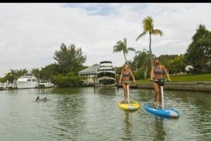 San Diego: Utleie av elliptiske paddleboards