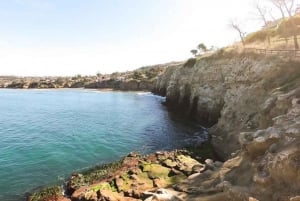 San Diego: Guidad snorklingstur i La Jolla Cove