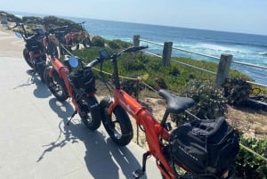 San Diego: La Jolla Guided E-Bike Tour