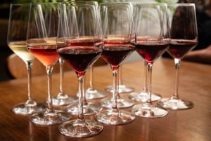 San Diego: Italia viininmaistelu kävelykierros