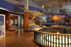 San Diego Natural History Museum toegangsbewijs voor 's nachts