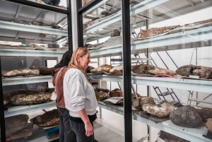 San Diego Natural History Museum toegangsbewijs voor 's nachts