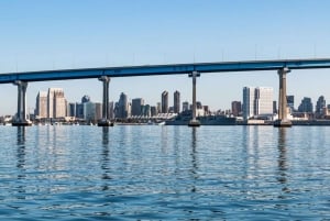 San Diego: Nyårsafton Gourmet Brunch eller Middagskryssning