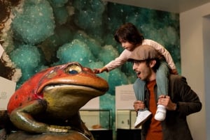 サンディエゴ自然史博物館夜間入館券