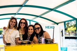 Mission Bay San Diego: Kryssning med Paddle Pub Party