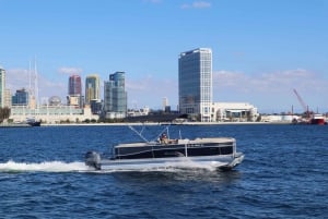 San Diego: Wynajem łodzi pontonowych nad zatoką San Diego
