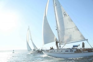 San Diego: Tour particular de 2 horas à vela para 3-6 pessoas