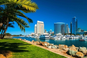 San Diego: Private custom tour with a local guide