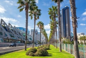 San Diego: Private custom tour with a local guide