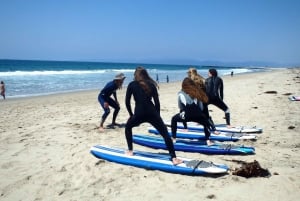 San Diego: Prywatna lekcja surfowania w grupie