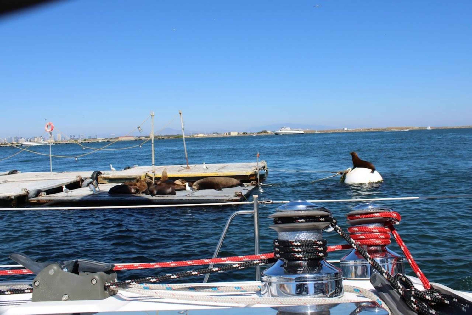 San Diego: Excursión privada en velero por la mañana para hasta 12 personas.