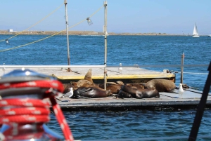 San Diego: Excursión privada en velero por la mañana para hasta 12 personas.