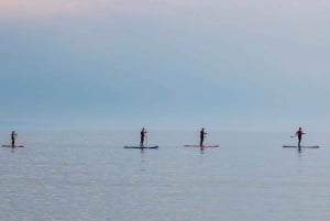 San Diego: Noleggio di tavole pronte per l'uso