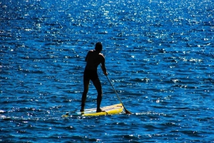 San Diego: Noleggio di tavole pronte per l'uso