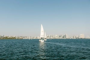 San Diego: Slap af på en luksussejlads om morgenen, dagen eller ved solnedgang