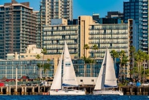 San Diego: Slap af på en luksussejlads om morgenen, dagen eller ved solnedgang