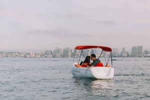 San Diego: San Diego Bay Dog-Friendly Eco Pedal Boat Rentals