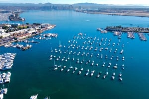 San Diego: San Diego Bay Dog-Friendly Eco Pedal Boat Rentals