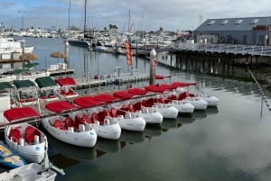San Diego: San Diego Bay Dog-Friendly Eco Pedal Boat Rentals