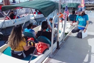 San Diego: San Diego Bay Dog-Friendly Eco Pedal Boat Rentals