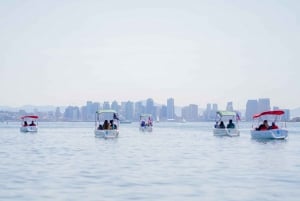 San Diego: San Diego Bay Dog-Friendly Eco Pedal Boat Rentals