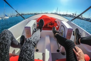 San Diego: San Diego Bay Dog-Friendly Eco Pedal Boat Rentals