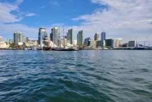 San Diego: Esperienza di navigazione diurna e al tramonto nella baia di San Diego