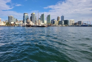 San Diego: San Diego Bay: San Diego Bay Sunset & Daytime Purjehdus Kokemus