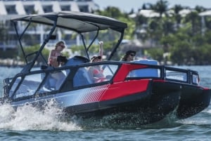 2 horas en San Diego: alquiler de pontones Sea Doo Switch