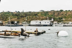 San Diego: SEAL City Tour by Amphibious Bus
