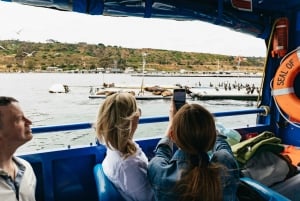 San Diego: SEAL City Tour by Amphibious Bus